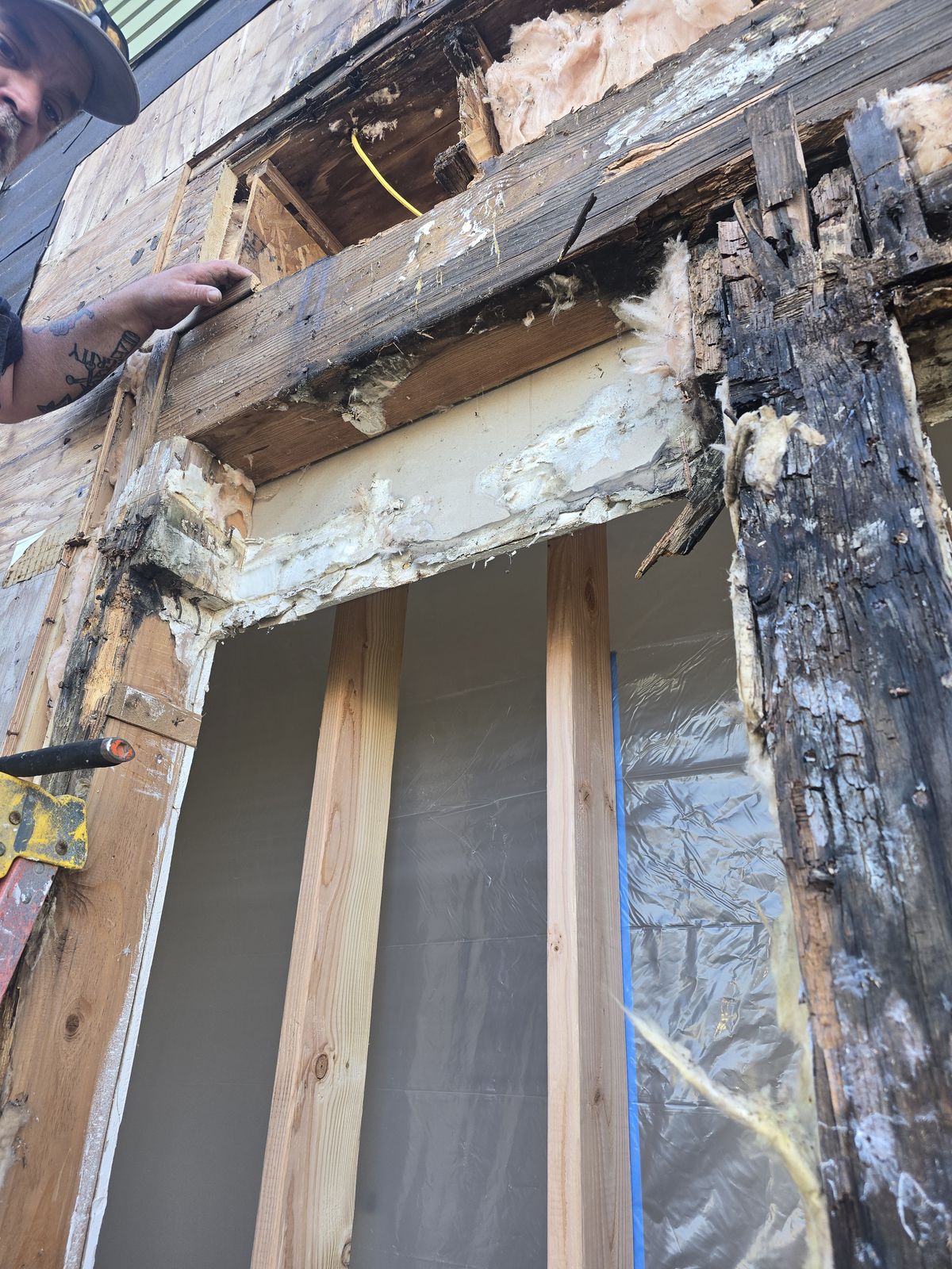 Dry rot detection and structural repair